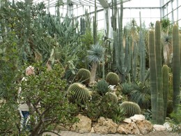  Jahresausflug Frankfurt Palmengarten 16